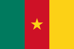 Cameroonian flag